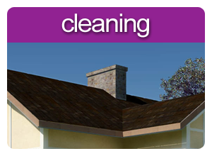 Chimney Cleaning