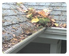 Clogged Gutters